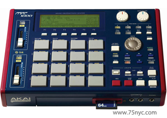 Enlarged view of image